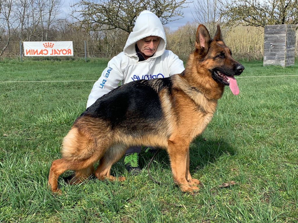Nikita Du Chemin D'Eden
