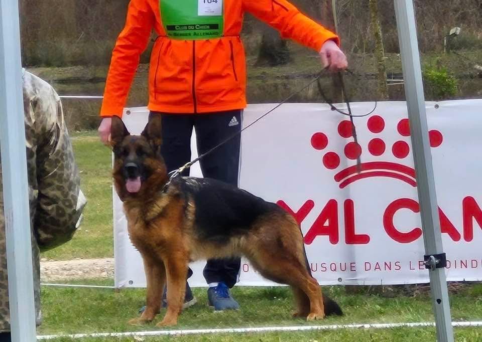 Tessie Du Chemin D'Eden