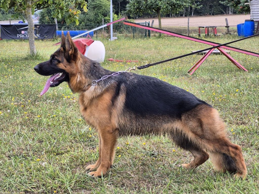 Viky Du Chemin D'Eden