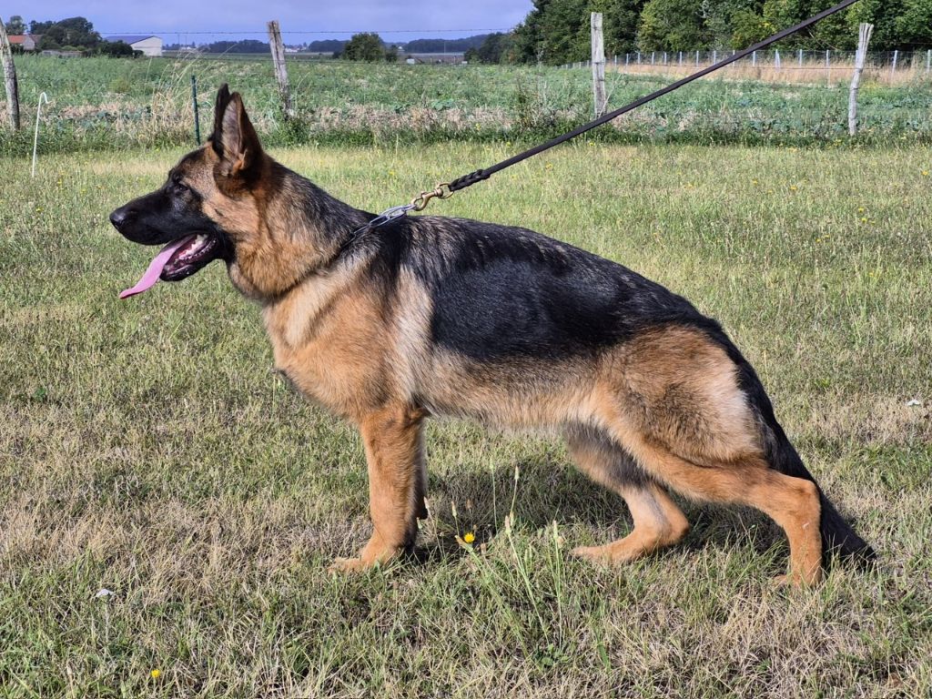 Audi Du Chemin D'Eden