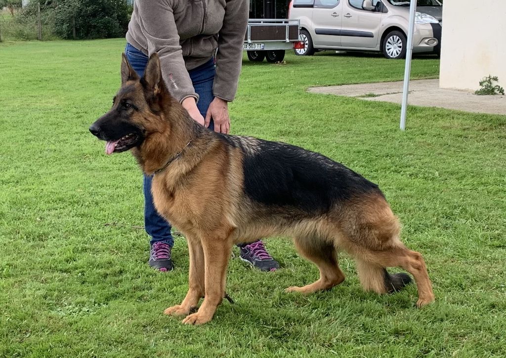 Petra Du Chemin D'Eden