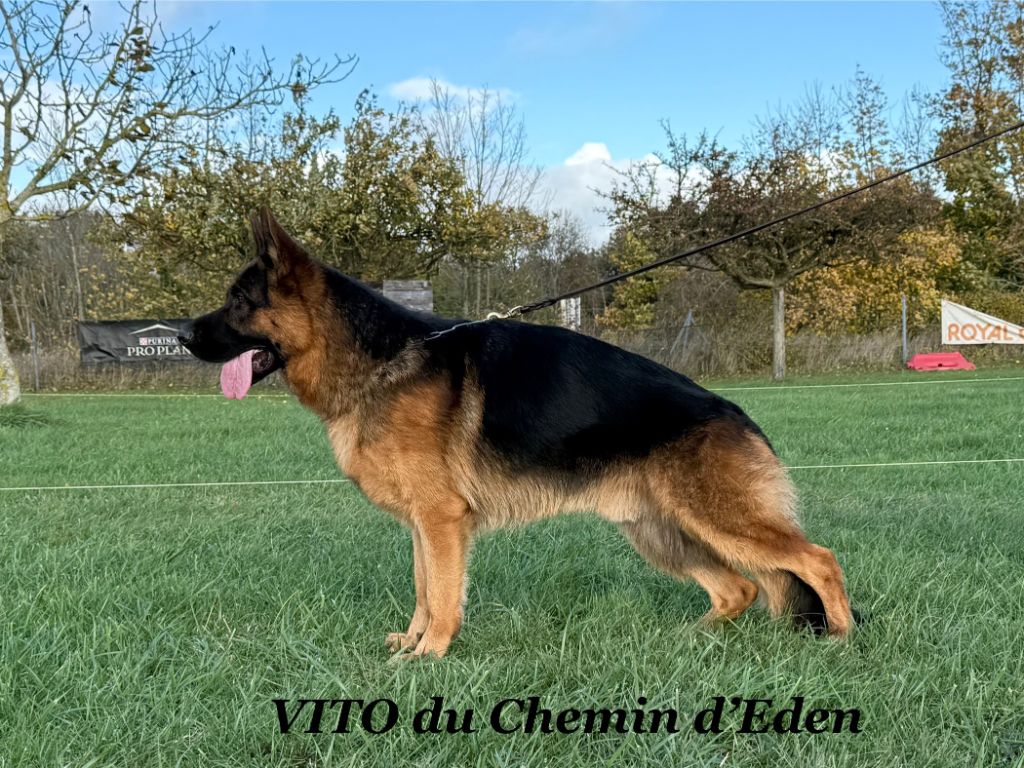 Vito Du Chemin D'Eden