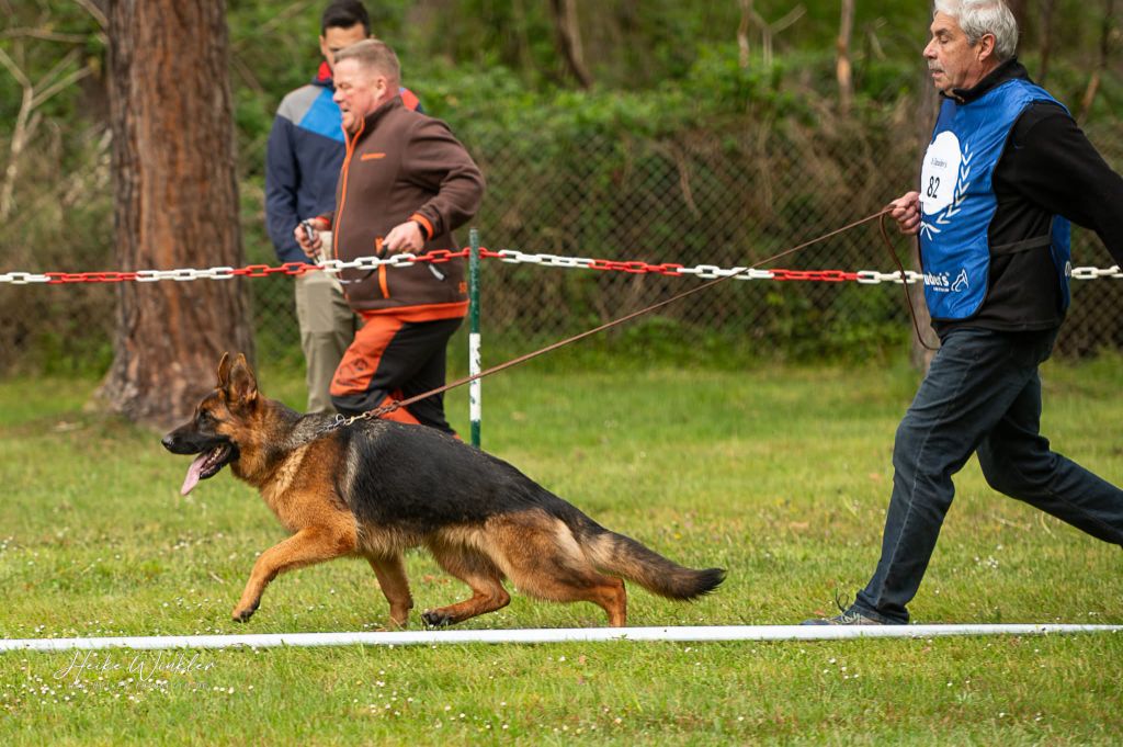 Vanda Du Chemin D'Eden