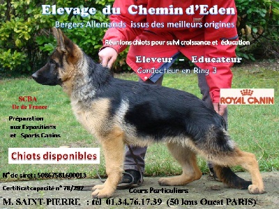 Du Chemin D'Eden